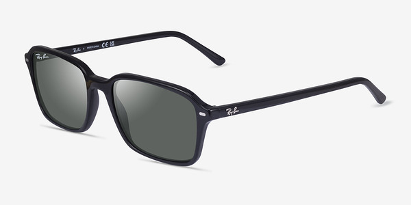 Ray-Ban RB2231 Raimond