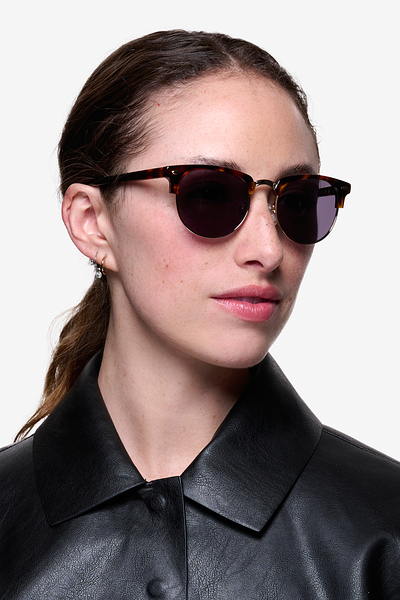 Browline sunglasses