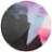 Gray Hair Floral color